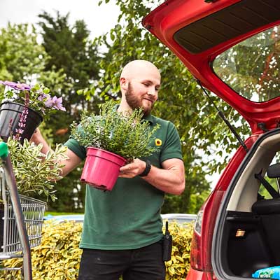 Putting plants into car