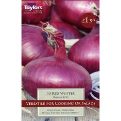 Onion Red Winter