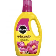 Miracle-Gro Azalea, Camellia &amp; Rhododendron 1L