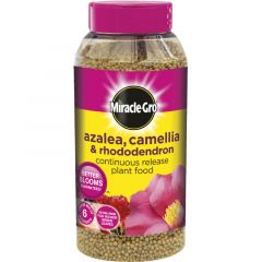 Miracle-Gro Azalea, Camellia &amp; Rhododendron 1kg