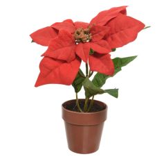 Kaemingk Red Poinsettia in Pot 20cm