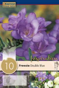 Freesia Double Blue - Kapiteyn
