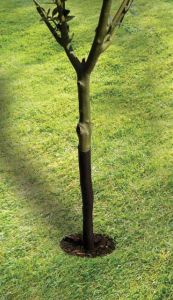 Garland 61cm (24") Spiral Tree Guard