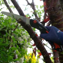 Wilkinson Sword Folding Pruning Saw