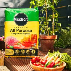 miracle-gro premium all purpose compost 40L bag