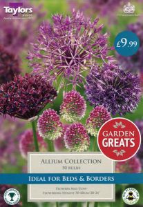 Allium Collection 50 Pack - Taylors Bulbs