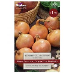Onion Autumn Champion  - Taylor's Bulbs