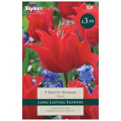 Tulip Pretty Woman 10 Pack - GC-TAYLORS