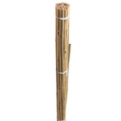 Westland Grow-It  Bamboo Canes Bulk Bundle 210cm 7' 10pk