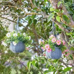 Basket Bouquets - Meadow  - Smart Garden