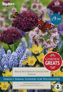 Bees & Butterflies Collection 70 Pack - Taylors Bulbs