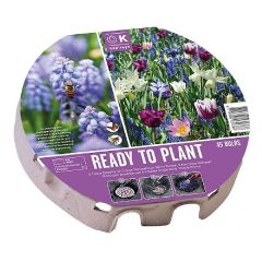 Kapiteyn Plant-O-Mat Tray XL Ø 38cm Bio Diversity