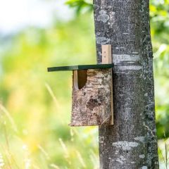 National Trust Birch Log Nest Box Open