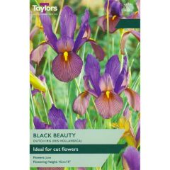 Taylors Bulbs Iris Black Beauty