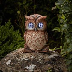 Smart Garden Blinkin' Owl