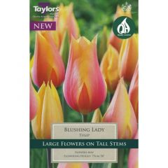 Tulip Blushing Lady - Taylor's Bulbs