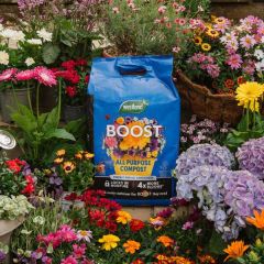 Westland Boost All Purpose Compost Mini Bale 25l