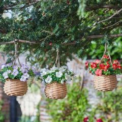 Basket Bouquets - Blossom  - Smart Garden