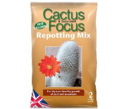 Cactus & Succulent Focus Repotting Mix - 2L