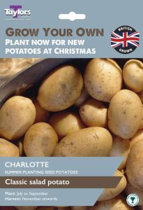 Potato Charlotte - Taylor's Bulbs