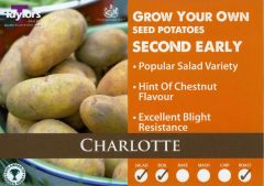 Potato Charlotte 2Kg - Taylor's Bulbs