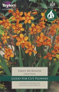 Crocosmia Emily Mackenzie - Taylors Bulbs