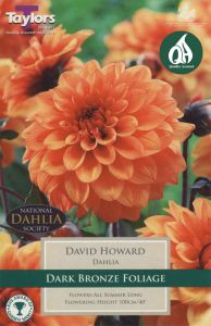 Dahlia David Howard