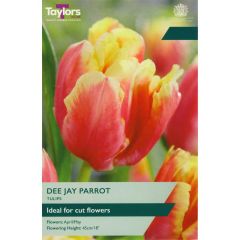 Taylors Bulbs Dee Jay Parrot