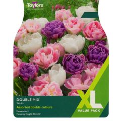 Taylors Bulbs Tulip Double Mix XL