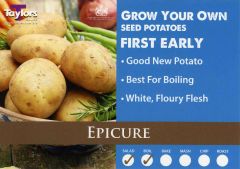 Epicure Seed Potatoes 2kg Bag - Taylor's Bulbs