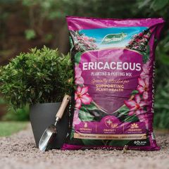 Westland Ericaceous Planting & Potting Mix 10L bag ideal for acid-loving plants