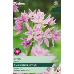 Taylors Bulbs Allium Eros
