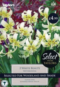 Erythronium White Beauty 2 Pack - Taylors Bulbs