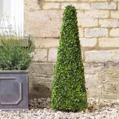Topiary Boxwood Obelisk 90 cm  - Smart Garden