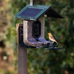 FeatherSnap Smart Bird Feeder 