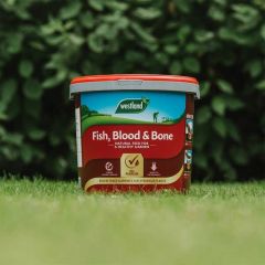 Westland Fish, Blood &amp; Bone 10kg Tub