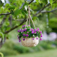 Basket Bouquets - Floret  - Smart Garden