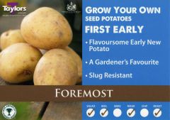 Potato Foremost 2Kg - Taylor's Bulbs