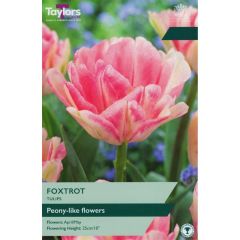 Taylors Bulbs Tulip Foxtrot
