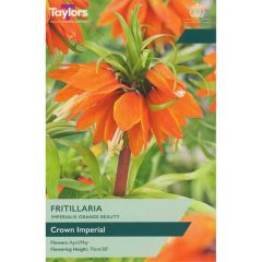 Taylors Bulbs Fritillaria Imperi Orange Beauty