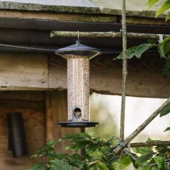 Peckish Funnel Seed Feeder