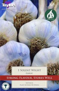 Taylor's Bulbs Garlic Solent Wight