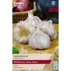 Taylors Bulbs French Garlic Germidour