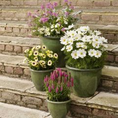 Apta Malay Glazed Planter 36cm