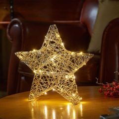 Smart Garden Gold Weave WonderStarlet! - 20cm