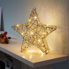 Smart Garden Gold Weave WonderStarlet! - 30cm