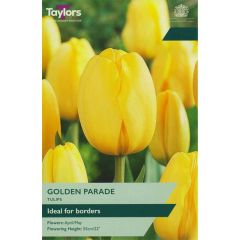 Taylors Bulbs Tulip Golden Parade