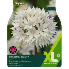 Sparkling white flowers with purple stamens
