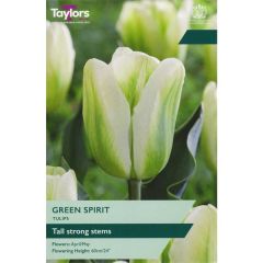 Taylors Bulbs Tulip Green Spirit