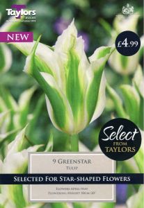 Tulip Greenstar Selection 11-12 - Taylors Bulbs